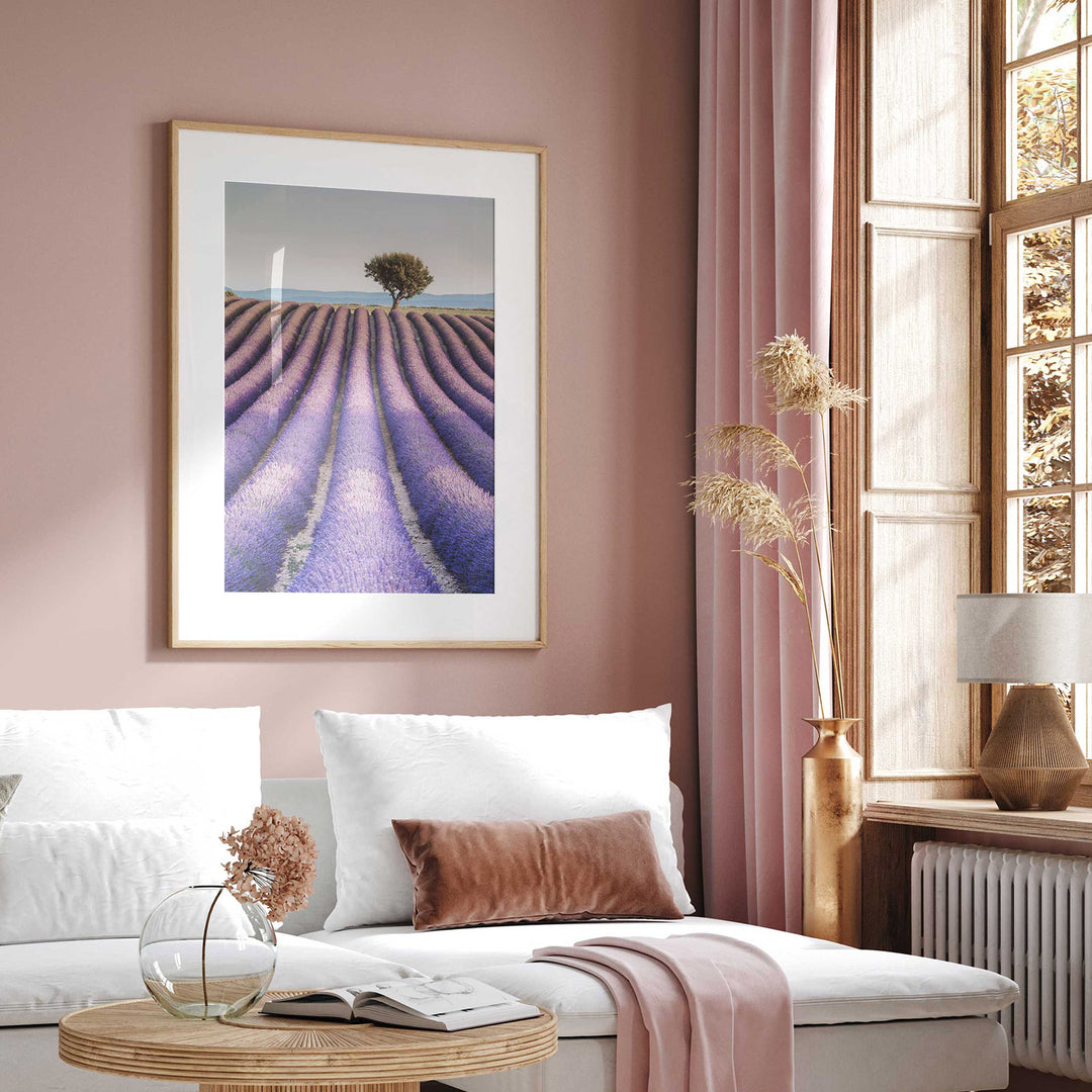 Lavender, Provence II