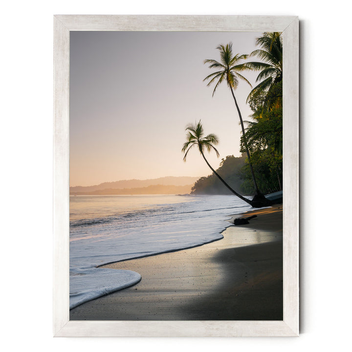 A serene beach scene at sunset, with palm trees lining the shore and the calm ocean gently lapping at the sand.