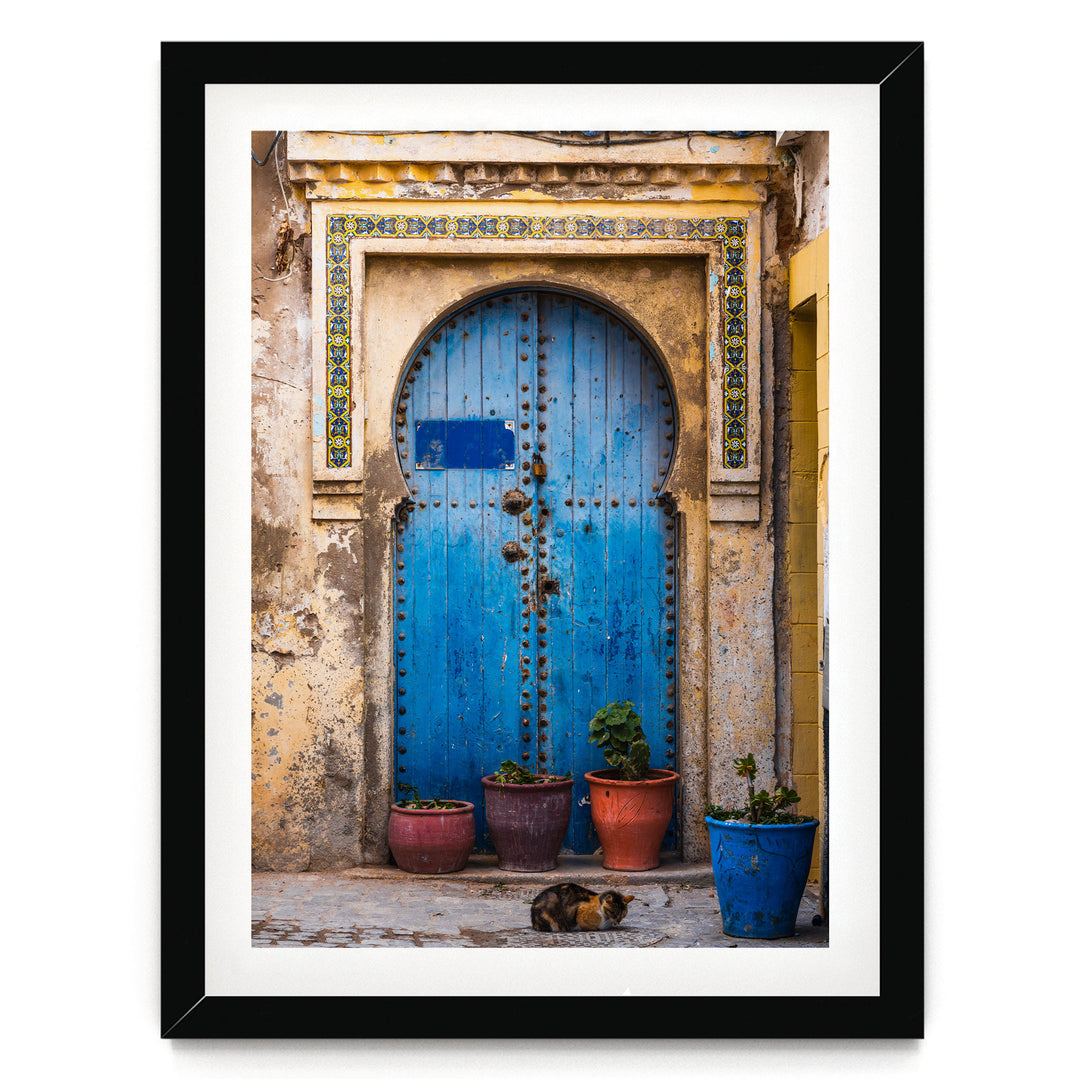 A blue wooden door with a decorative archway, flanked by three potted plants, with a cat resting on the ground in front of the door.