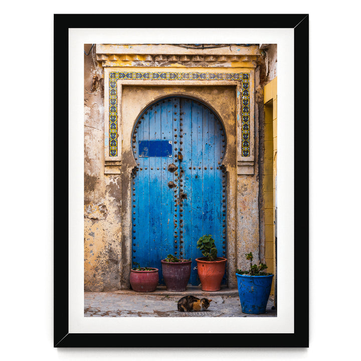 A blue wooden door with a decorative archway, flanked by three potted plants, with a cat resting on the ground in front of the door.