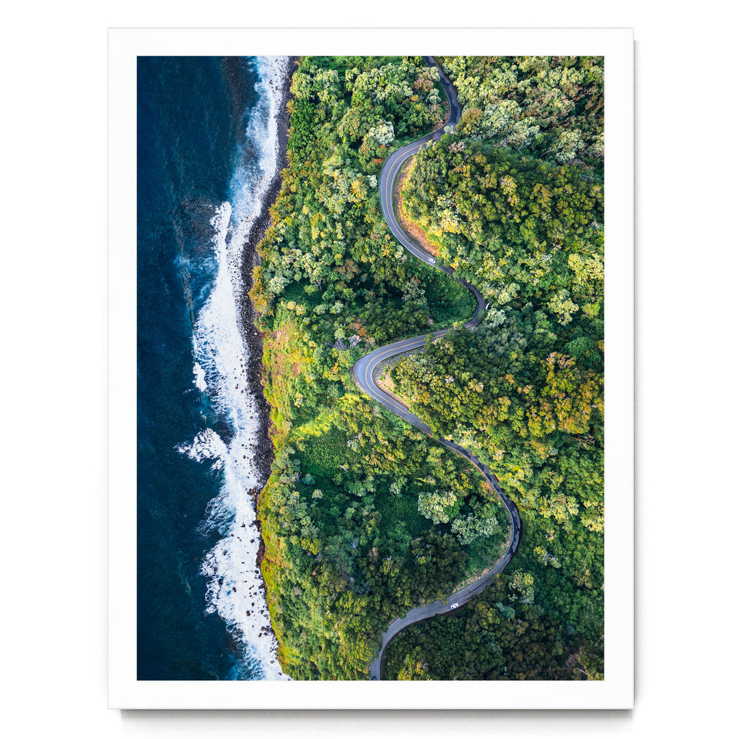 The image is an aerial view of a winding road cutting through a lush, green forest, with the ocean visible on the left side.