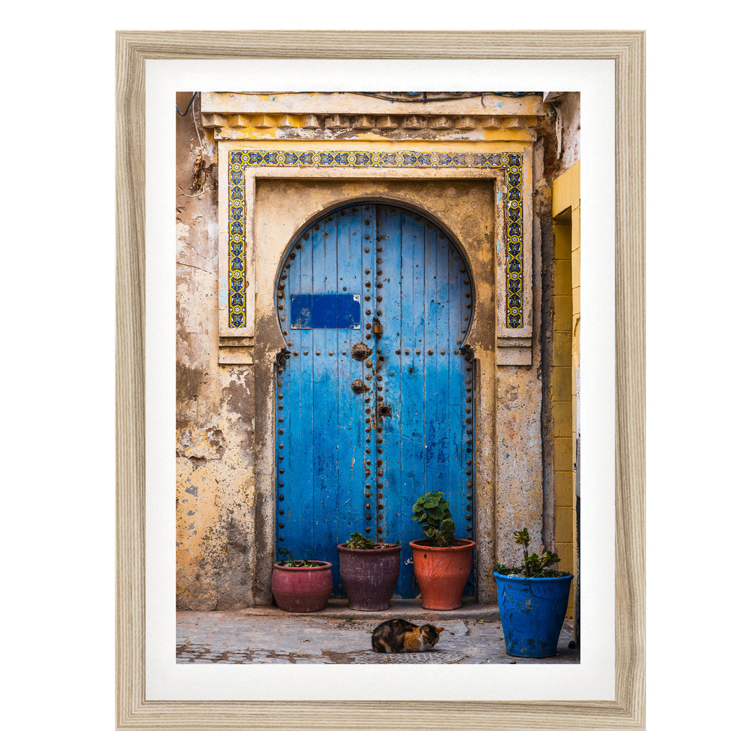 a blue wooden door with a decorative archway, flanked by three potted plants. A cat is resting on the ground in front of the door.