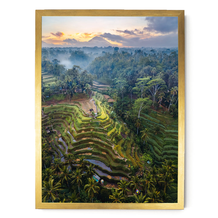 a lush, tropical landscape with terraced rice fields, palm trees, and a stunning sunset sky.