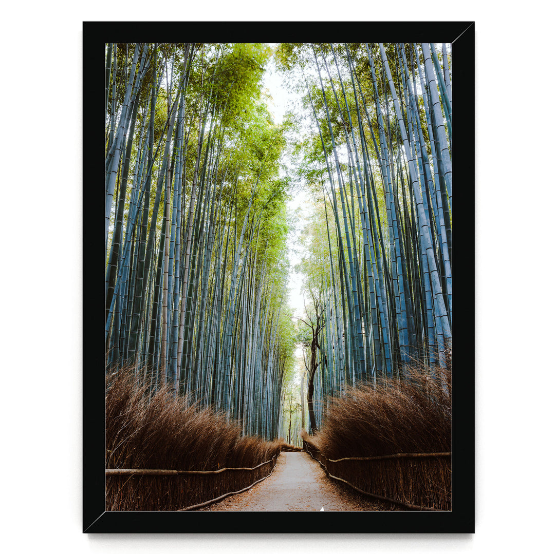 A path lined with tall, slender bamboo stalks leads through a serene bamboo forest, creating a sense of depth and tranquility.