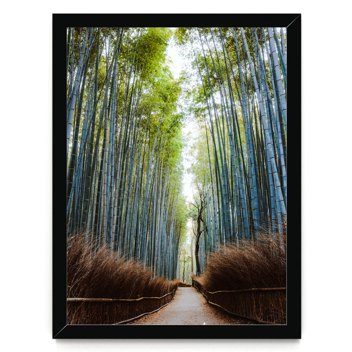 A path lined with tall, slender bamboo stalks leads through a serene bamboo forest, creating a sense of depth and tranquility.