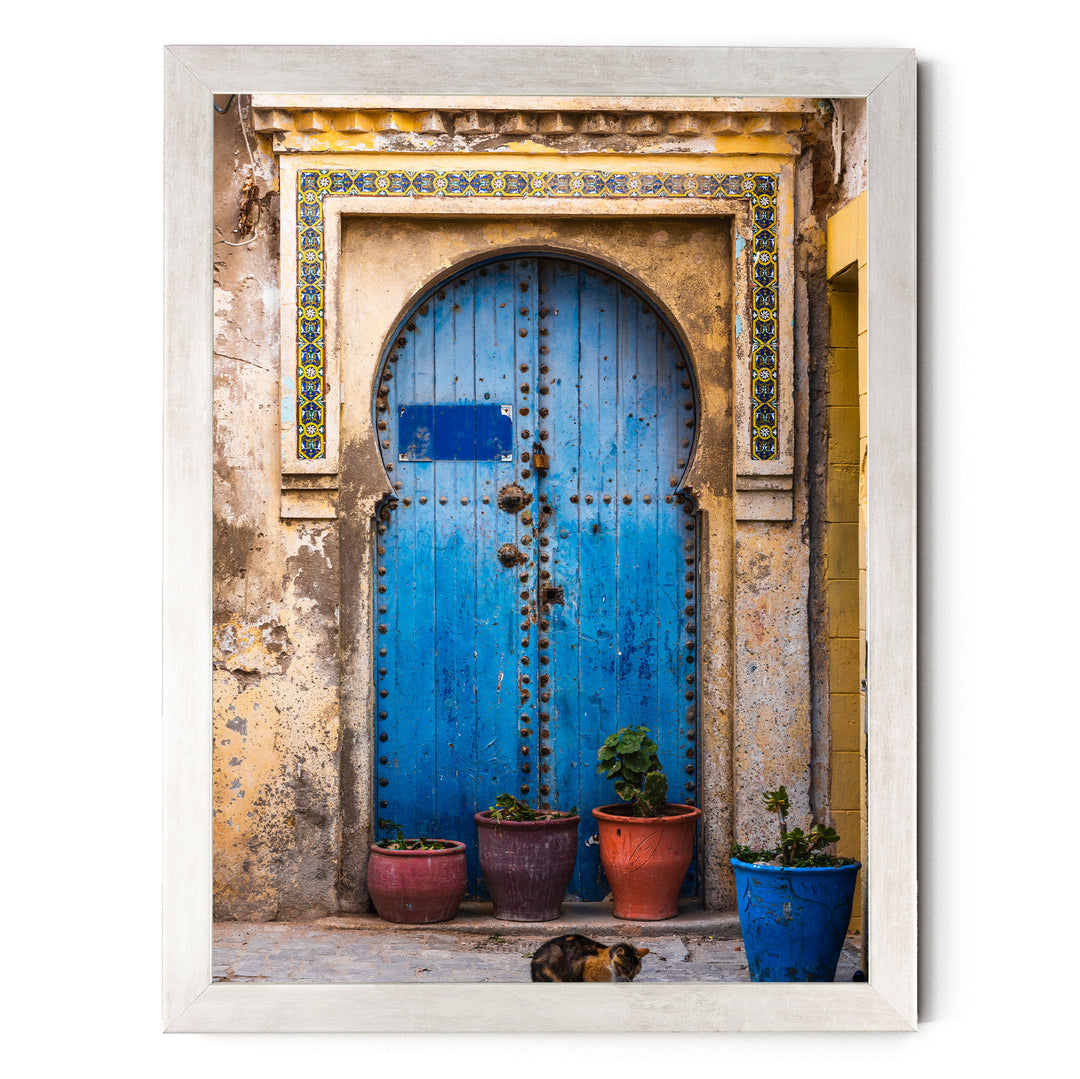 a blue wooden door with a decorative archway, surrounded by potted plants and a cat sitting on the ground in front of the door.