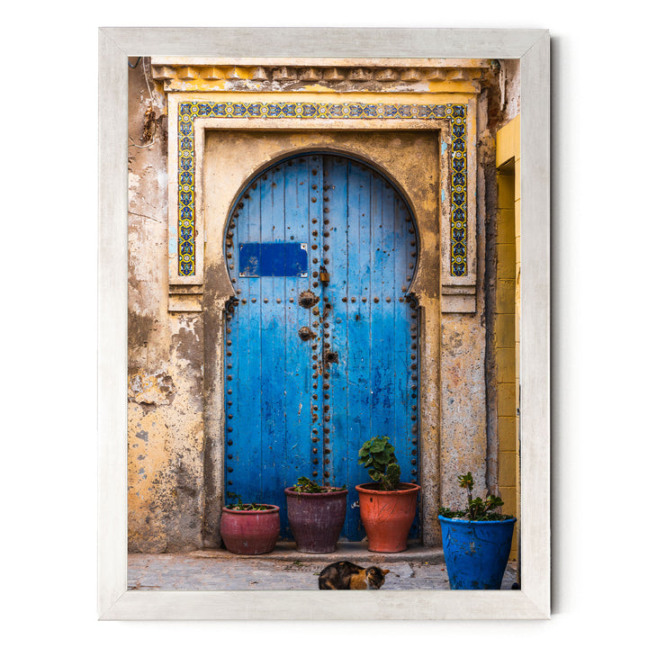 a blue wooden door with a decorative archway, surrounded by potted plants and a cat sitting on the ground in front of the door.