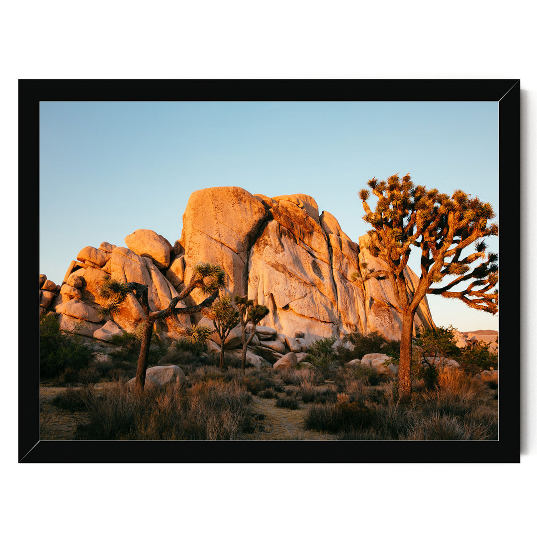 A desert landscape with a large rock formation in the background and a tree in the foreground, set against a clear blue sky.