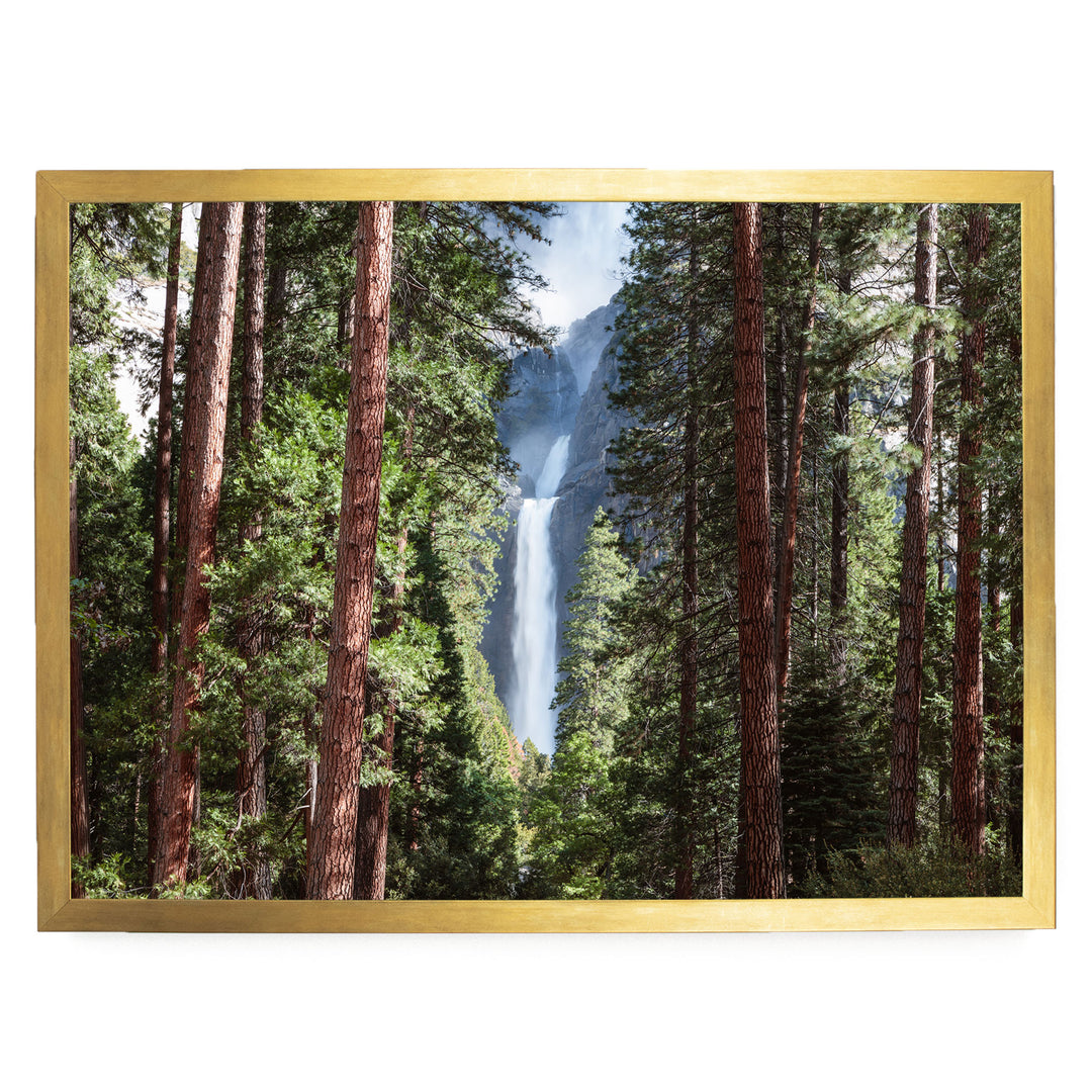 a serene forest scene with a majestic waterfall cascading through the trees, surrounded by lush greenery.