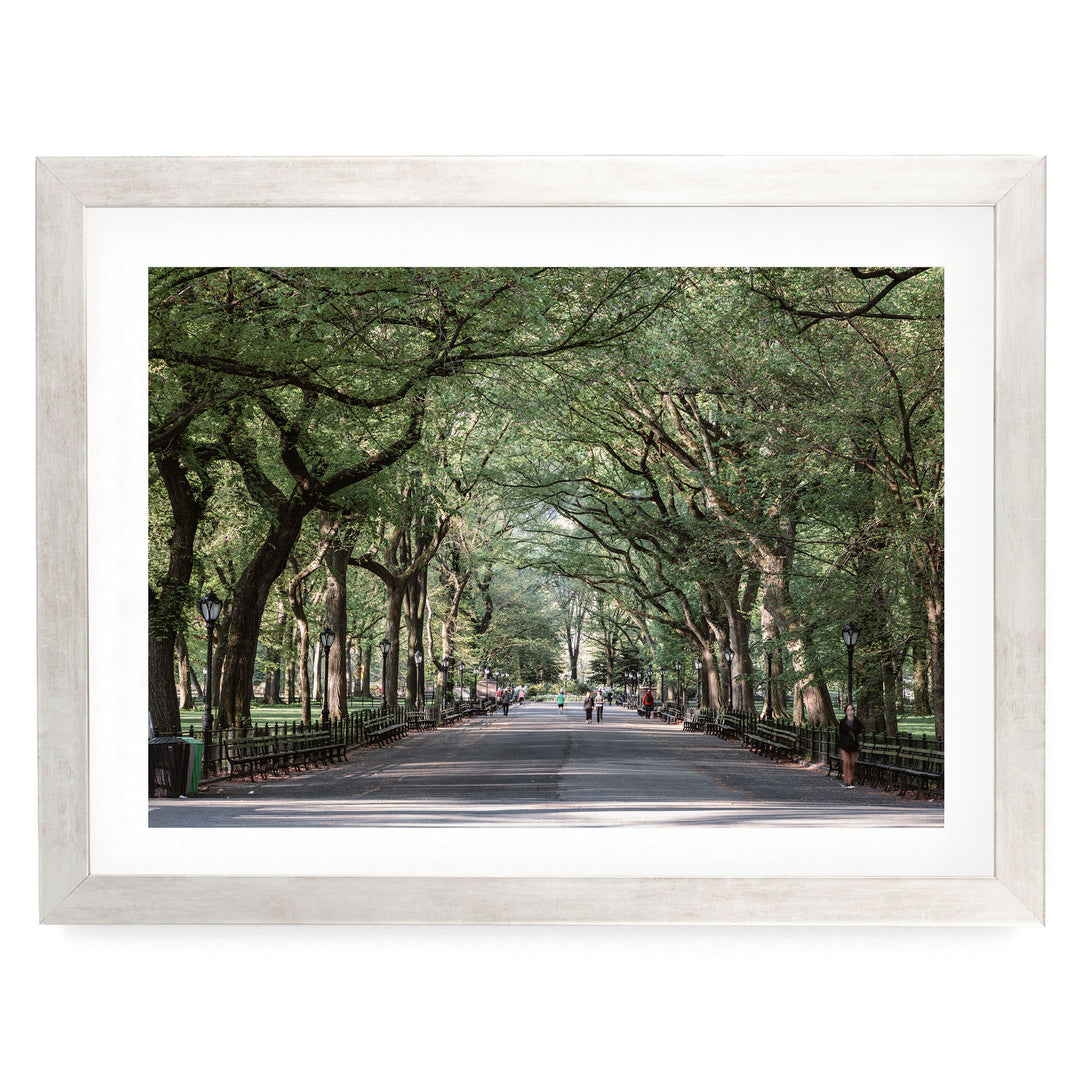 A tree-lined street with people walking along it, framed in a white border.