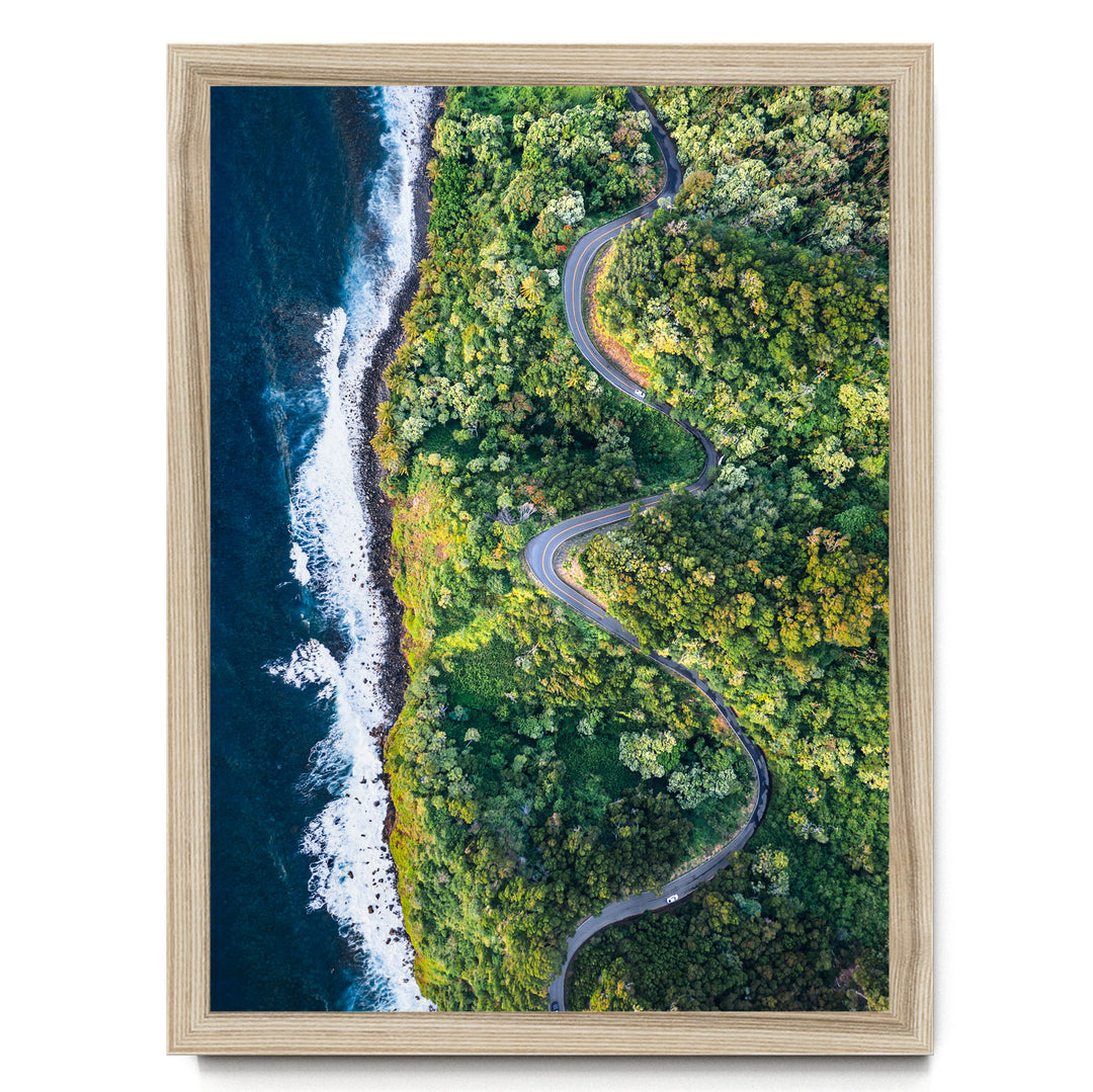 The image is an aerial view of a winding road cutting through a lush, green forest, with the ocean visible on the left side.