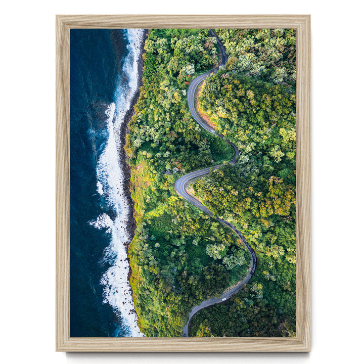 The image is an aerial view of a winding road cutting through a lush, green forest, with the ocean visible on the left side.