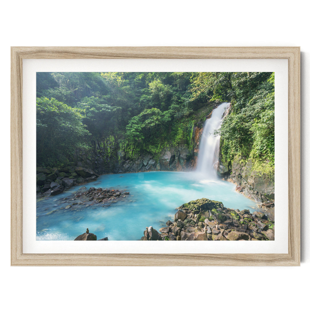 A serene waterfall cascades into a turquoise pool surrounded by lush, verdant foliage in a tranquil forest setting.