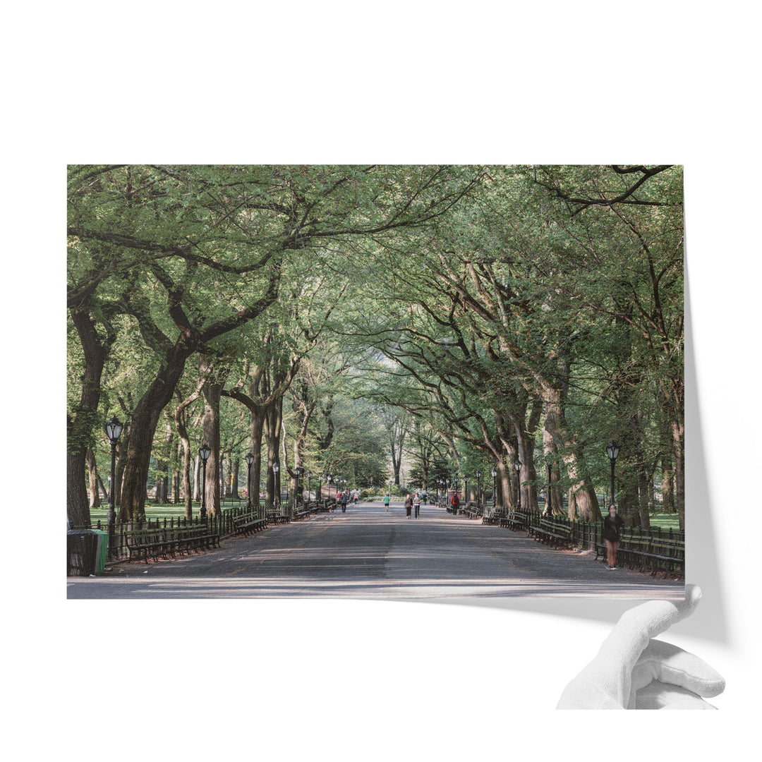 A tree-lined street with people walking along it, creating a serene and inviting atmosphere.