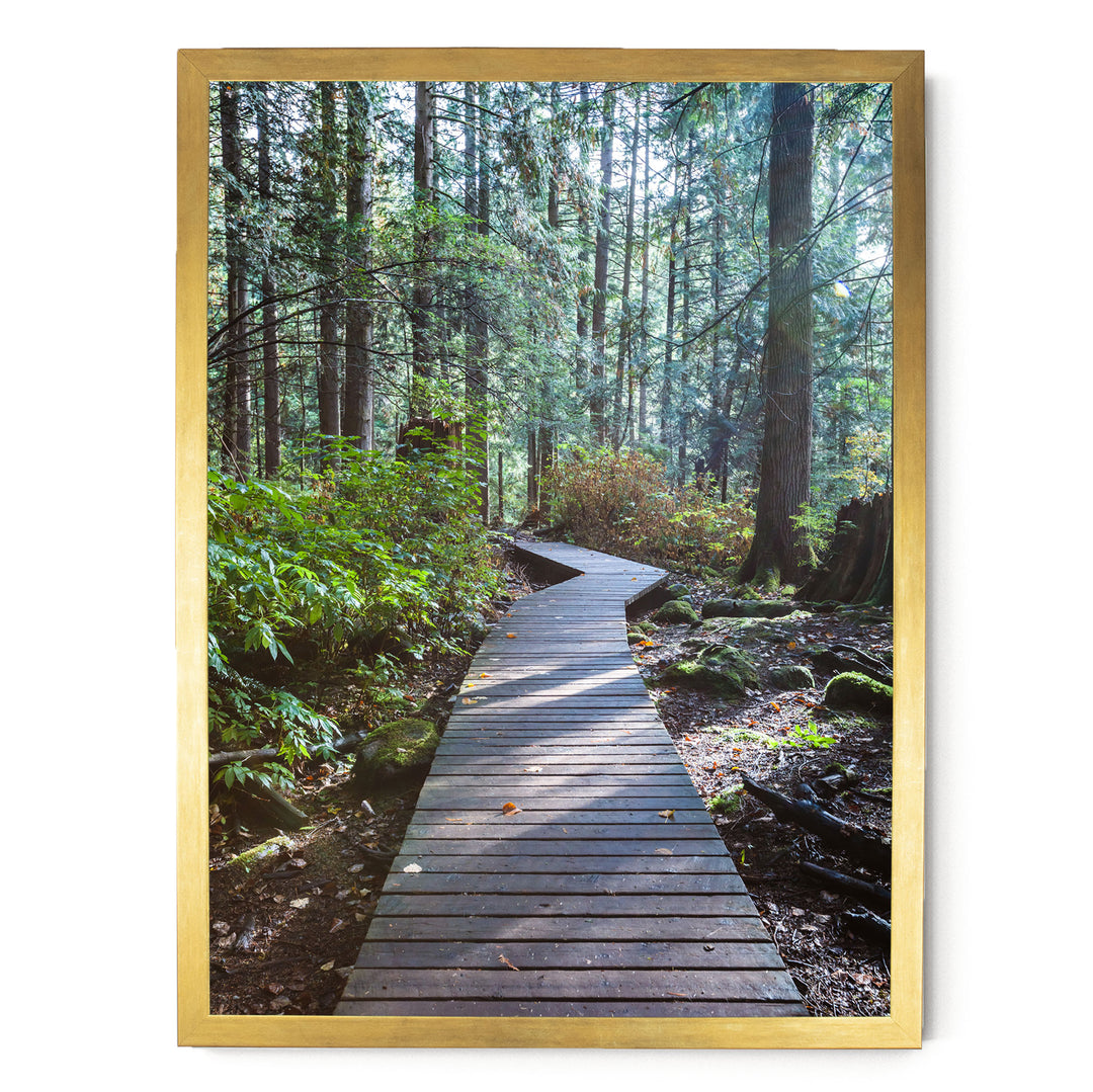 A wooden boardwalk winds through a lush, green forest, surrounded by tall trees and fallen leaves on the ground.