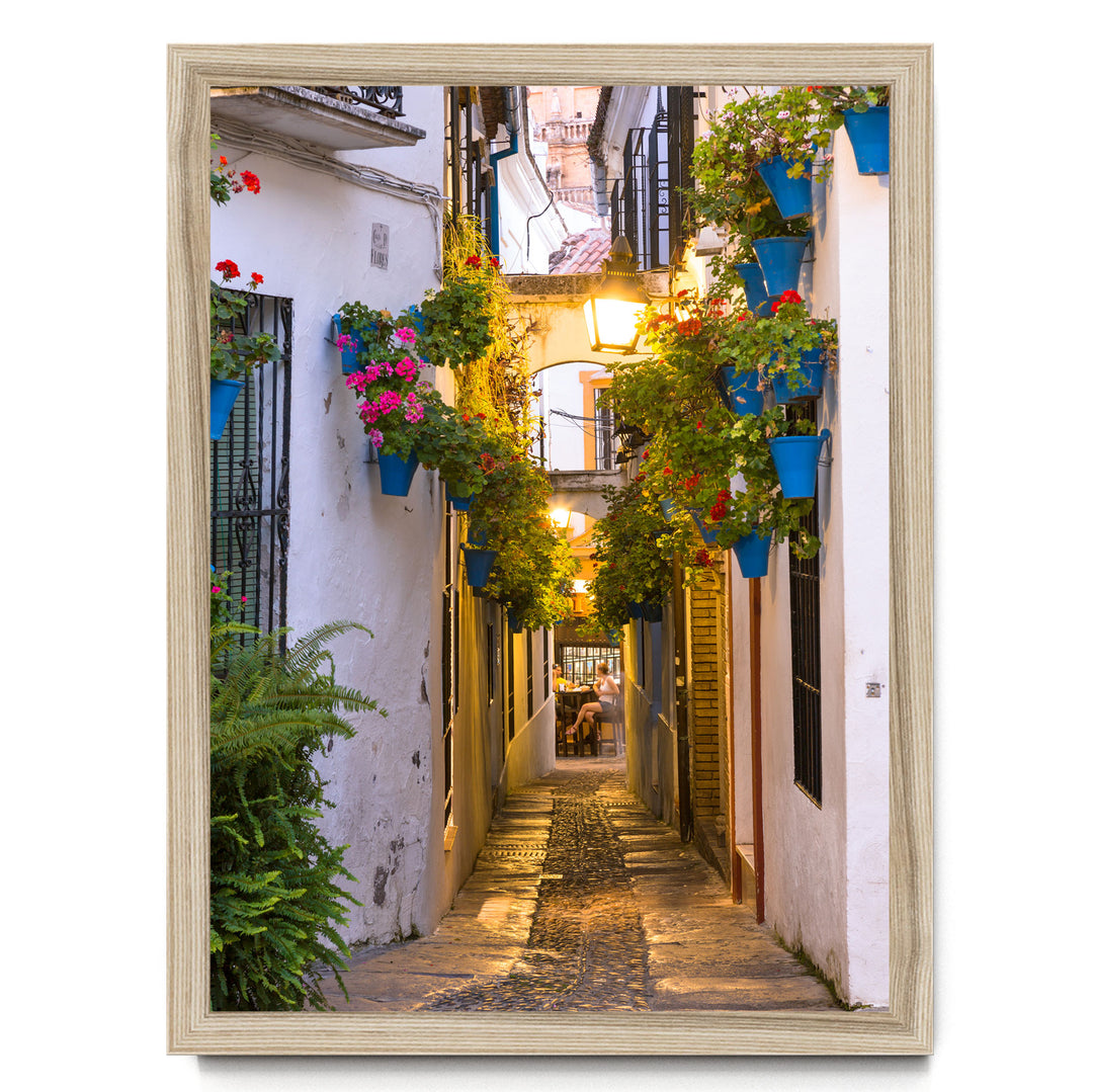 A narrow cobblestone street lined with colorful flower pots and plants, creating a charming and inviting atmosphere.
