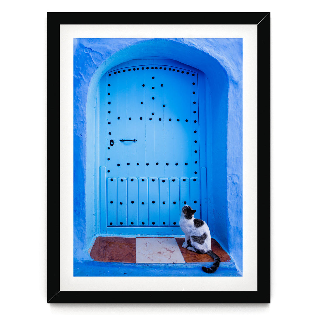 A black and white cat sits on a brown and white tile floor, gazing up at a blue door with a decorative archway.