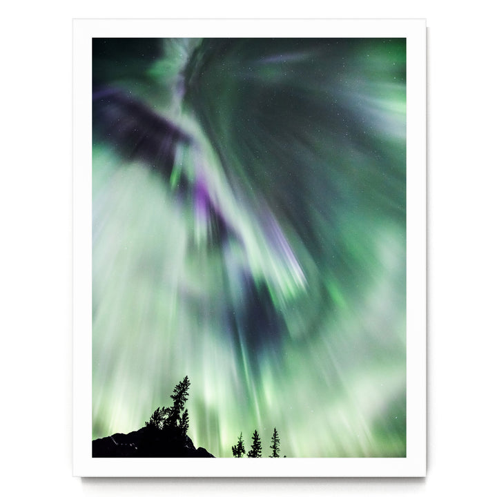 a stunning display of the Aurora Borealis, or Northern Lights, illuminating the night sky with vibrant green and purple hues. The silhouettes of trees can be seen in the foreground, adding a sense of depth and scale to the scene.
