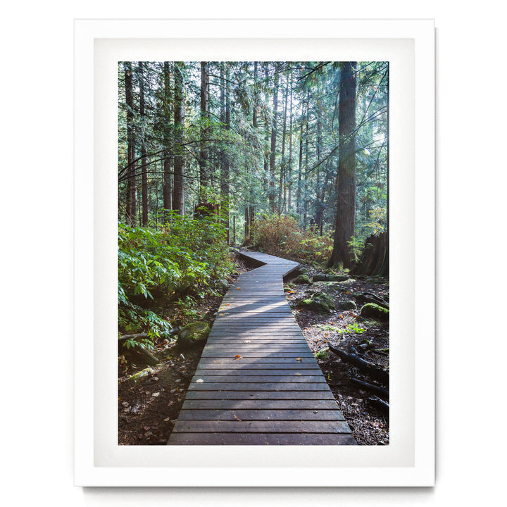 A wooden boardwalk winds through a lush, green forest, surrounded by tall trees and a carpet of fallen leaves.