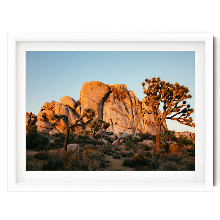 A desert landscape with a large rock formation in the background and a tree in the foreground, set against a clear blue sky.