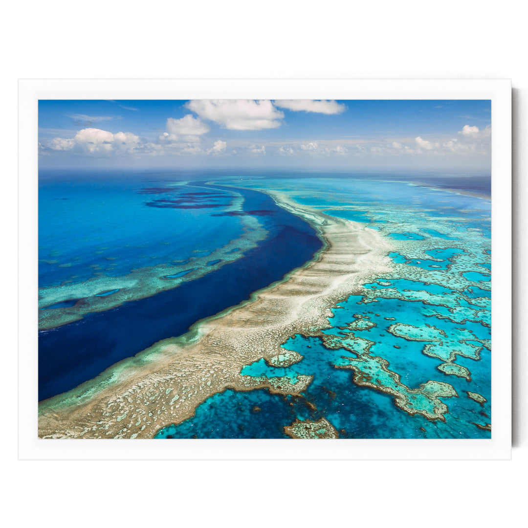 a stunning aerial view of a vibrant coral reef, showcasing the intricate and diverse ecosystem beneath the ocean's surface.