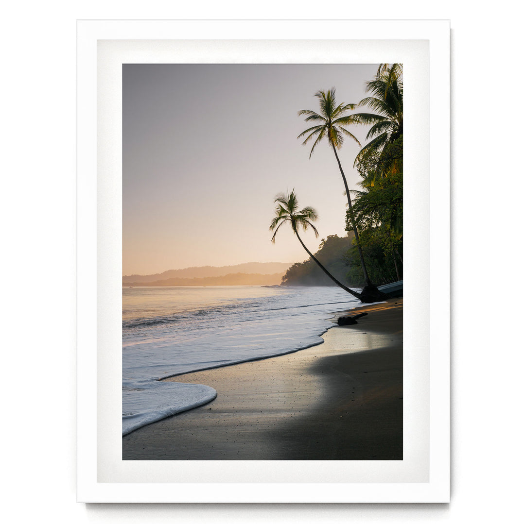 A serene beach scene at sunset, with palm trees lining the shore and the calm ocean gently lapping at the sand.