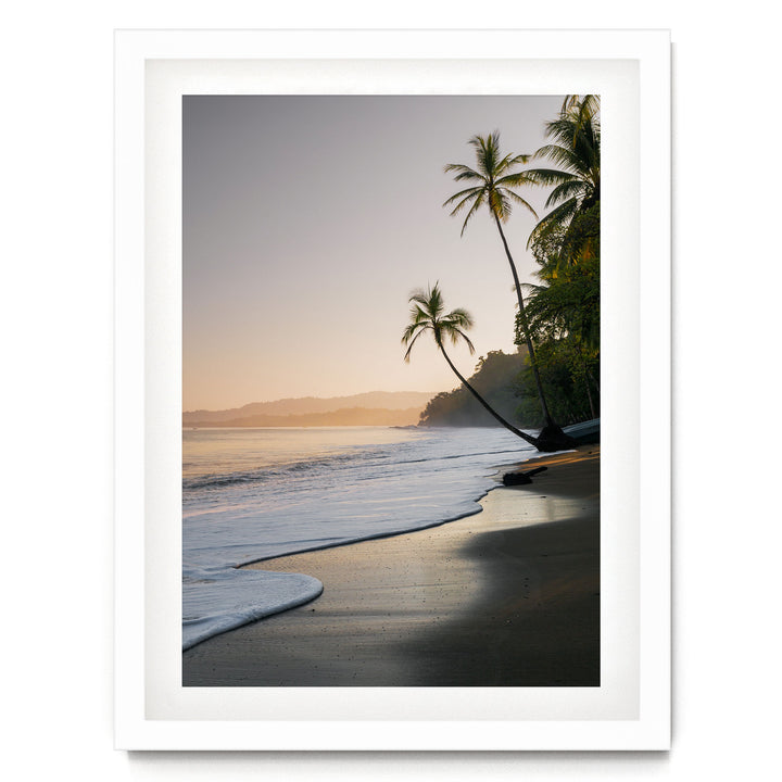 A serene beach scene at sunset, with palm trees lining the shore and the calm ocean gently lapping at the sand.
