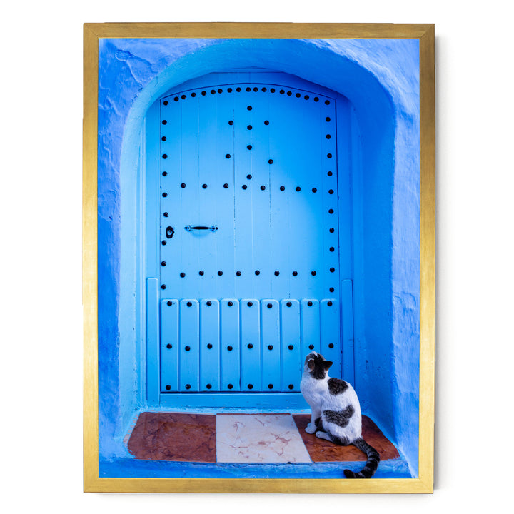 A black and white cat sits on a brown tile floor in front of a blue wooden door with a gold frame, looking up at the door.