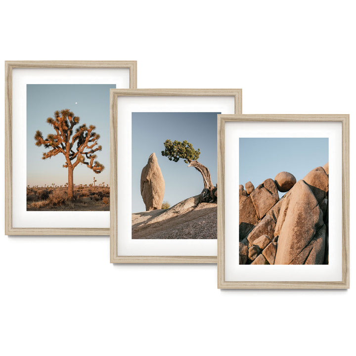 three framed photographs of rocks and a tree