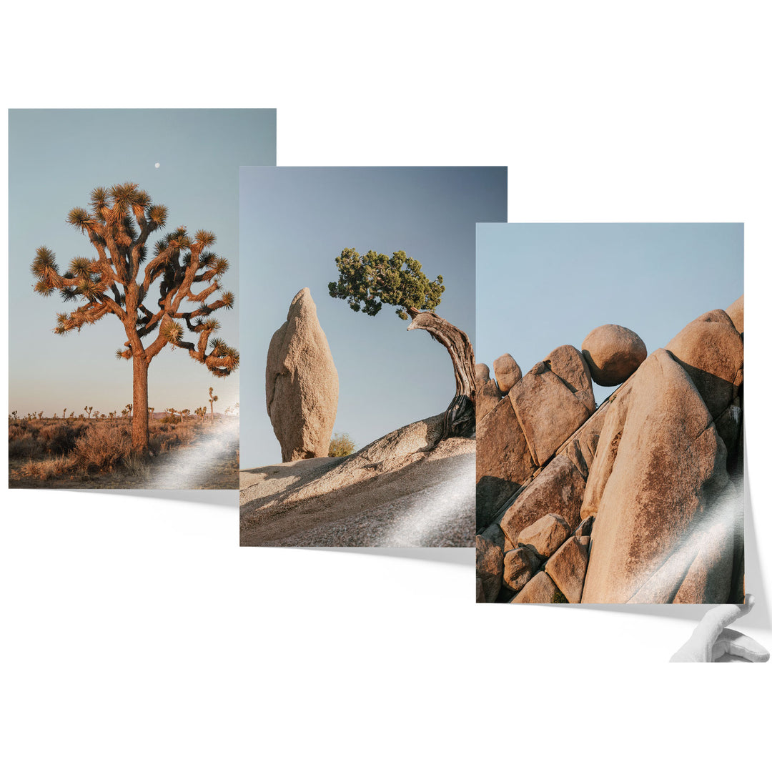 a series of three photographs of rocks and a tree