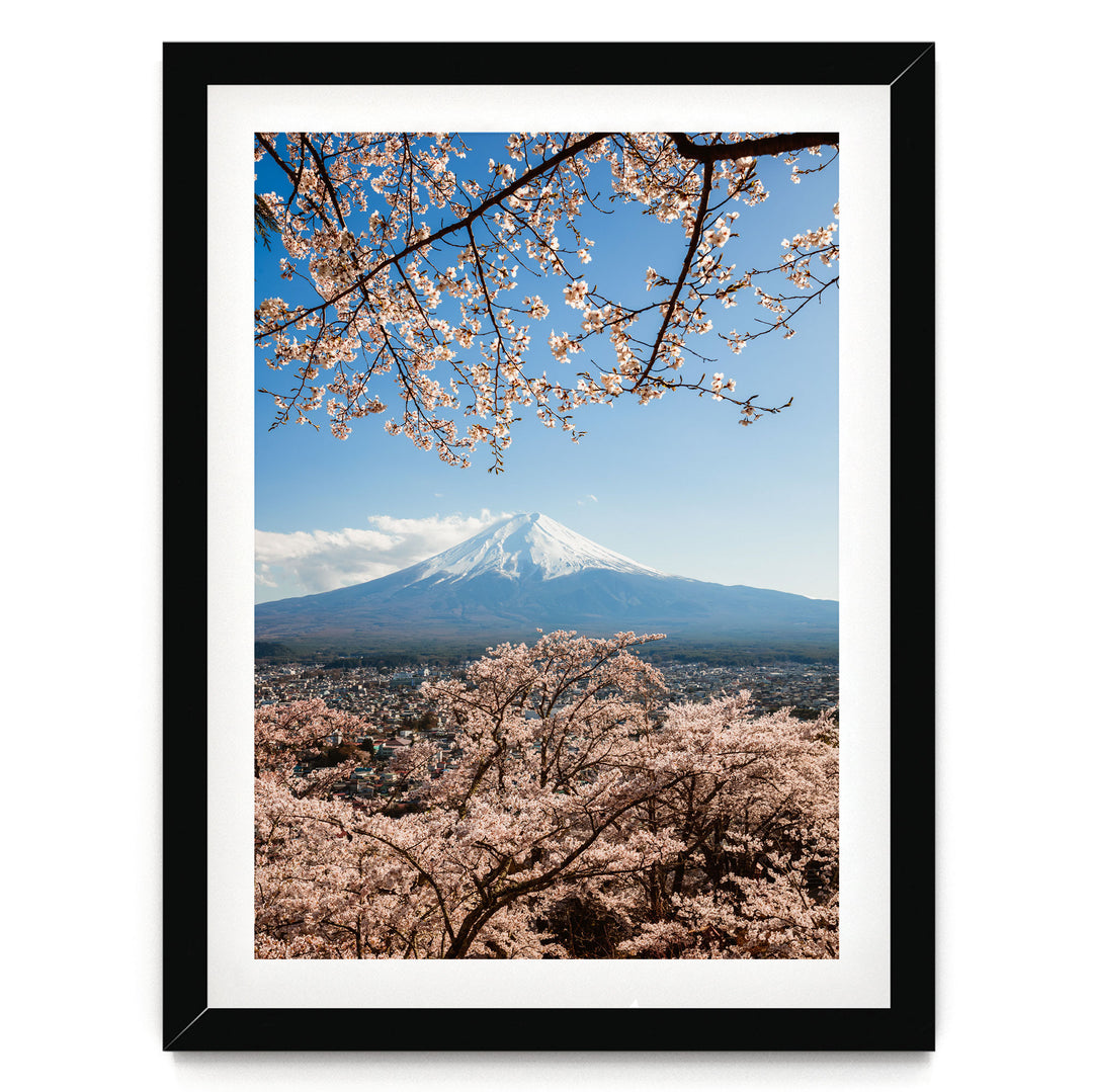 A framed photograph depicting a snow-capped mountain peak with cherry blossoms in the foreground, set against a clear blue sky.