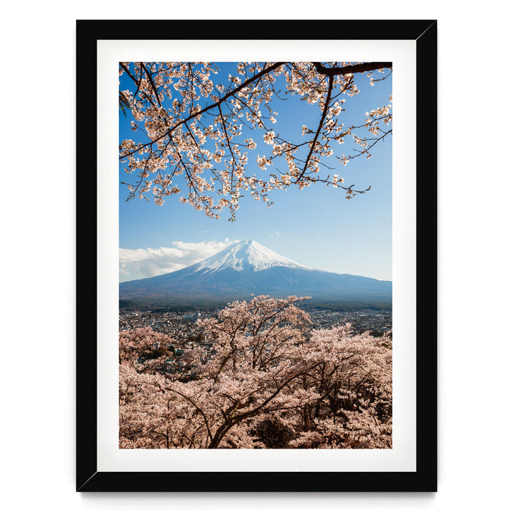 A framed photograph depicting a snow-capped mountain peak with cherry blossoms in the foreground, set against a clear blue sky.