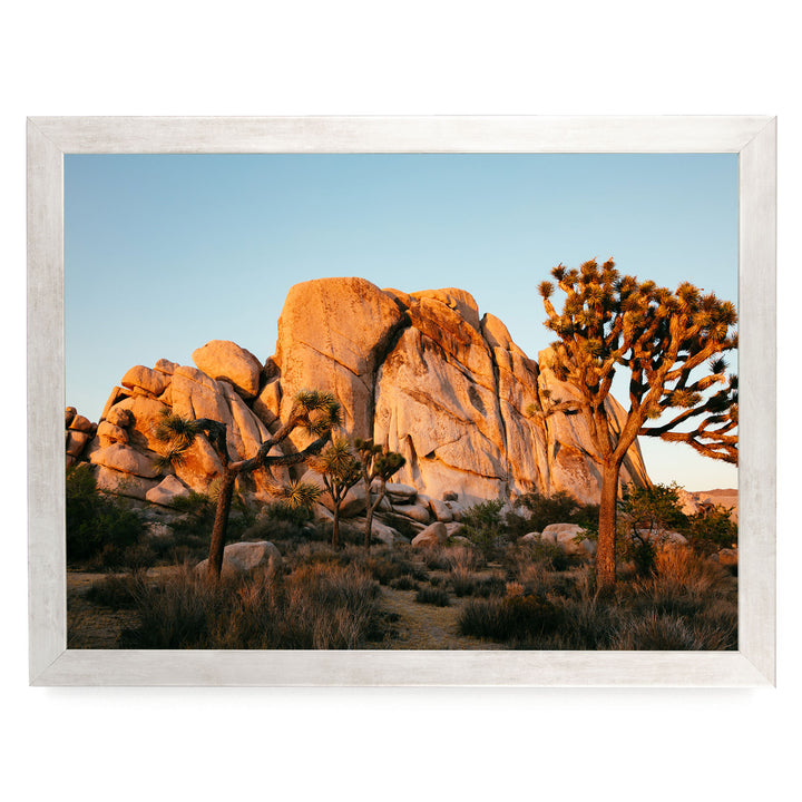 a desert landscape with large, rocky formations and a tree in the foreground.