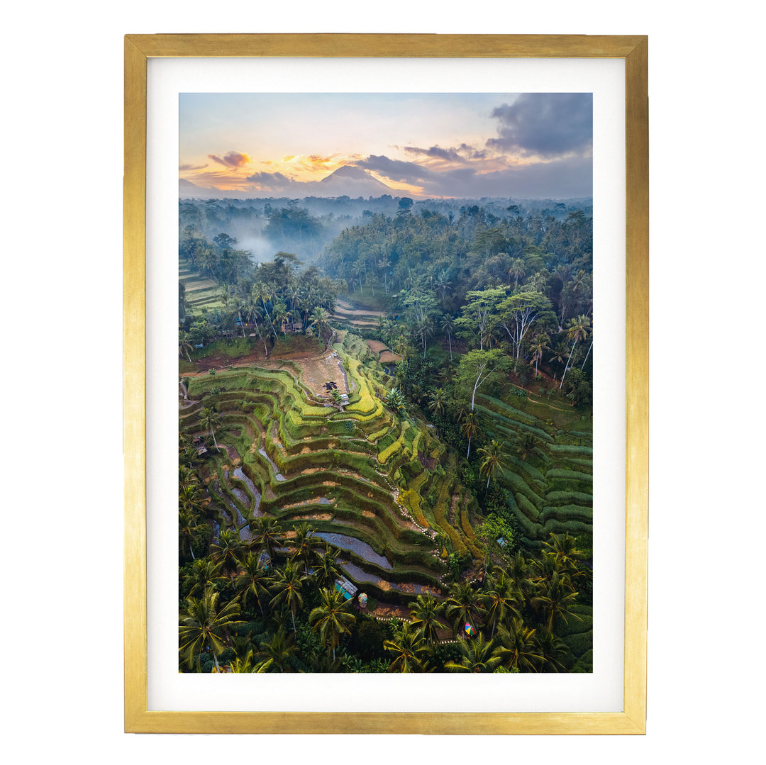a lush, tropical landscape with terraced rice fields, palm trees, and a mountain range in the distance, all bathed in the warm glow of a sunset.