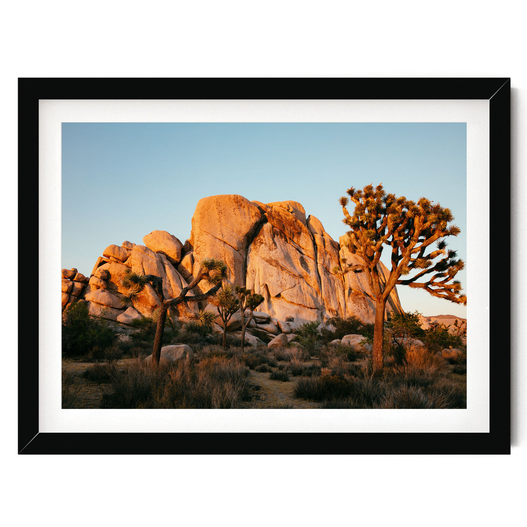 A framed photograph depicting a desert landscape with a large rock formation in the background and a tree in the foreground, set against a clear blue sky.
