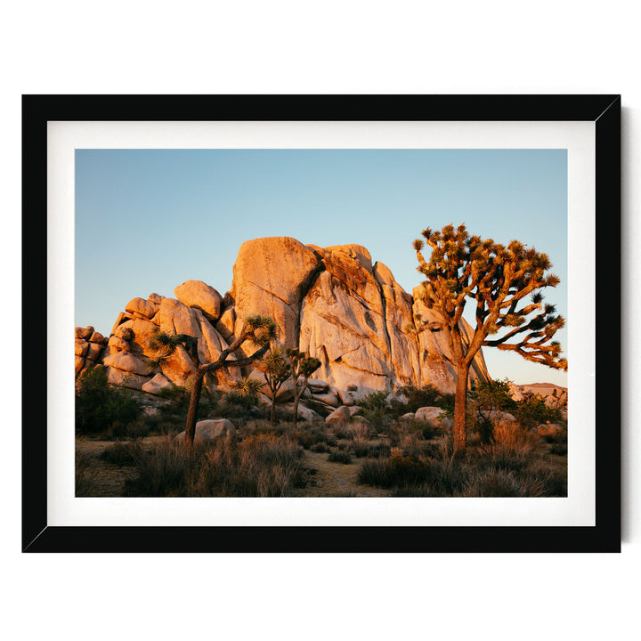 A framed photograph depicting a desert landscape with a large rock formation in the background and a tree in the foreground, set against a clear blue sky.