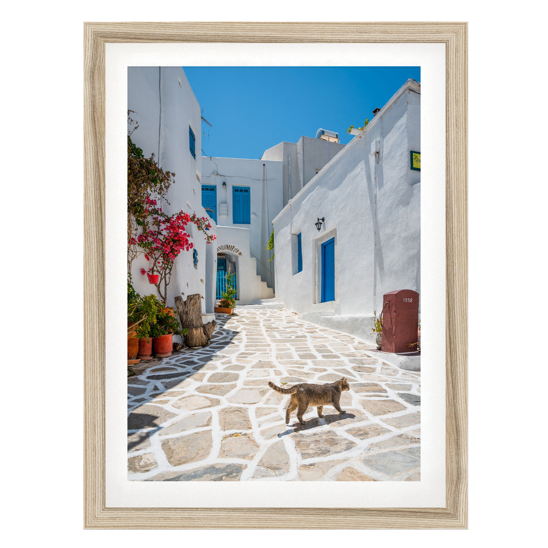 A stone-paved street in a Mediterranean village, with white buildings, blue doors, and a cat walking along the path.