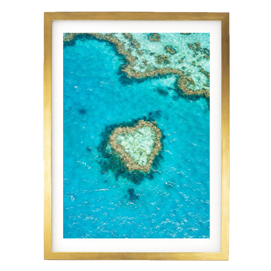 The image is a framed aerial view of a coral reef, showcasing the vibrant blue waters and the intricate coral formations.