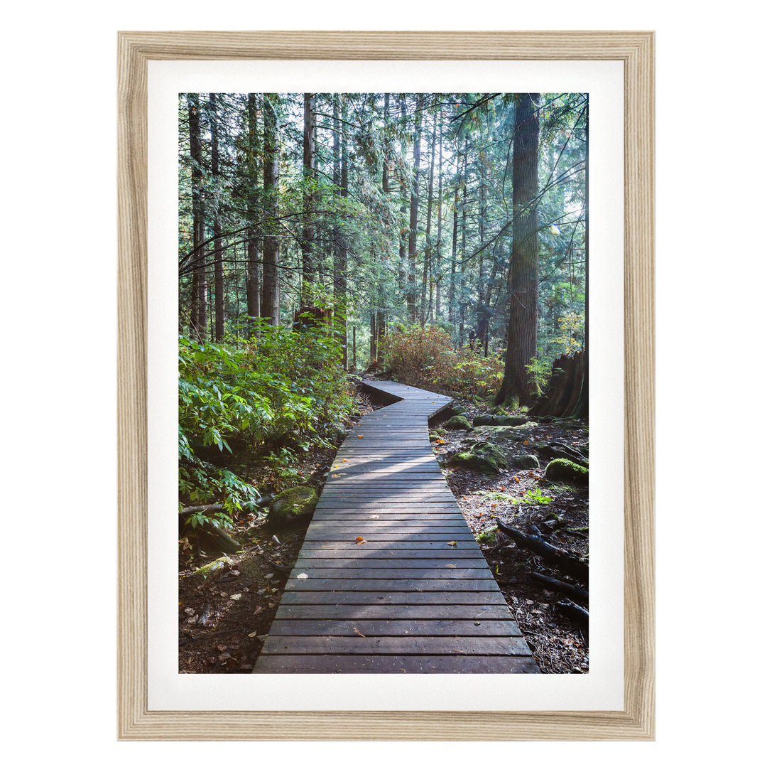 A wooden boardwalk winds through a lush, green forest, surrounded by tall trees and a carpet of fallen leaves.
