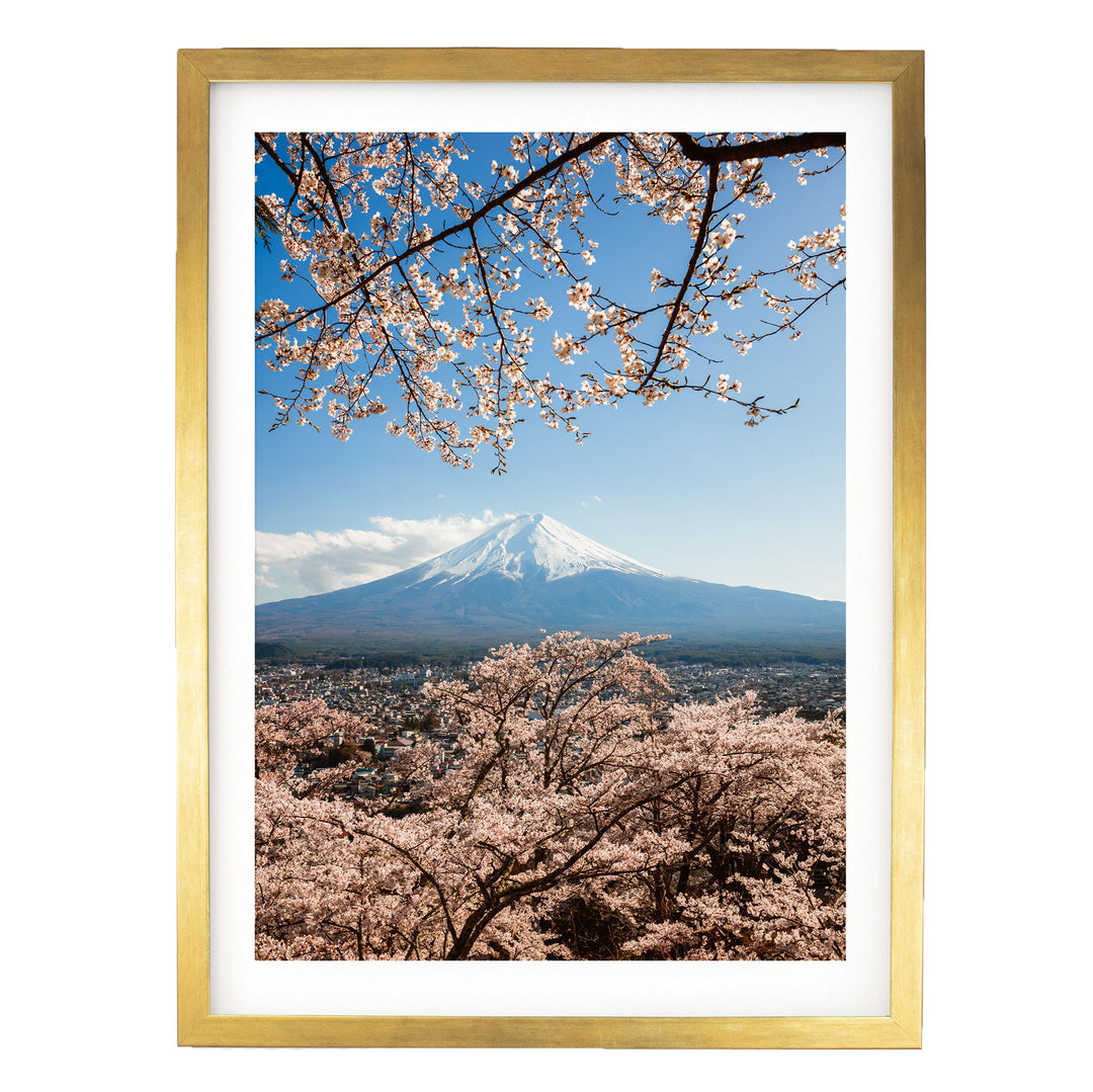 A framed photograph of a snow-capped mountain peak, with cherry blossoms in full bloom in the foreground, creating a beautiful contrast between the natural and the man-made.