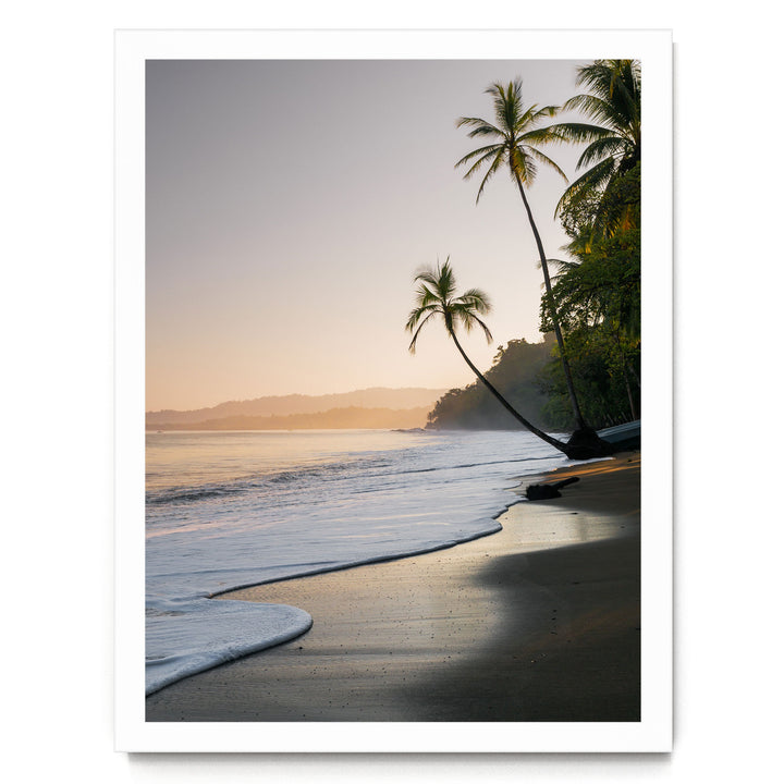 a serene tropical beach scene with palm trees lining the shoreline and the ocean gently lapping at the sand. The sky is painted in warm hues of orange, suggesting either sunrise or sunset, creating a tranquil atmosphere.