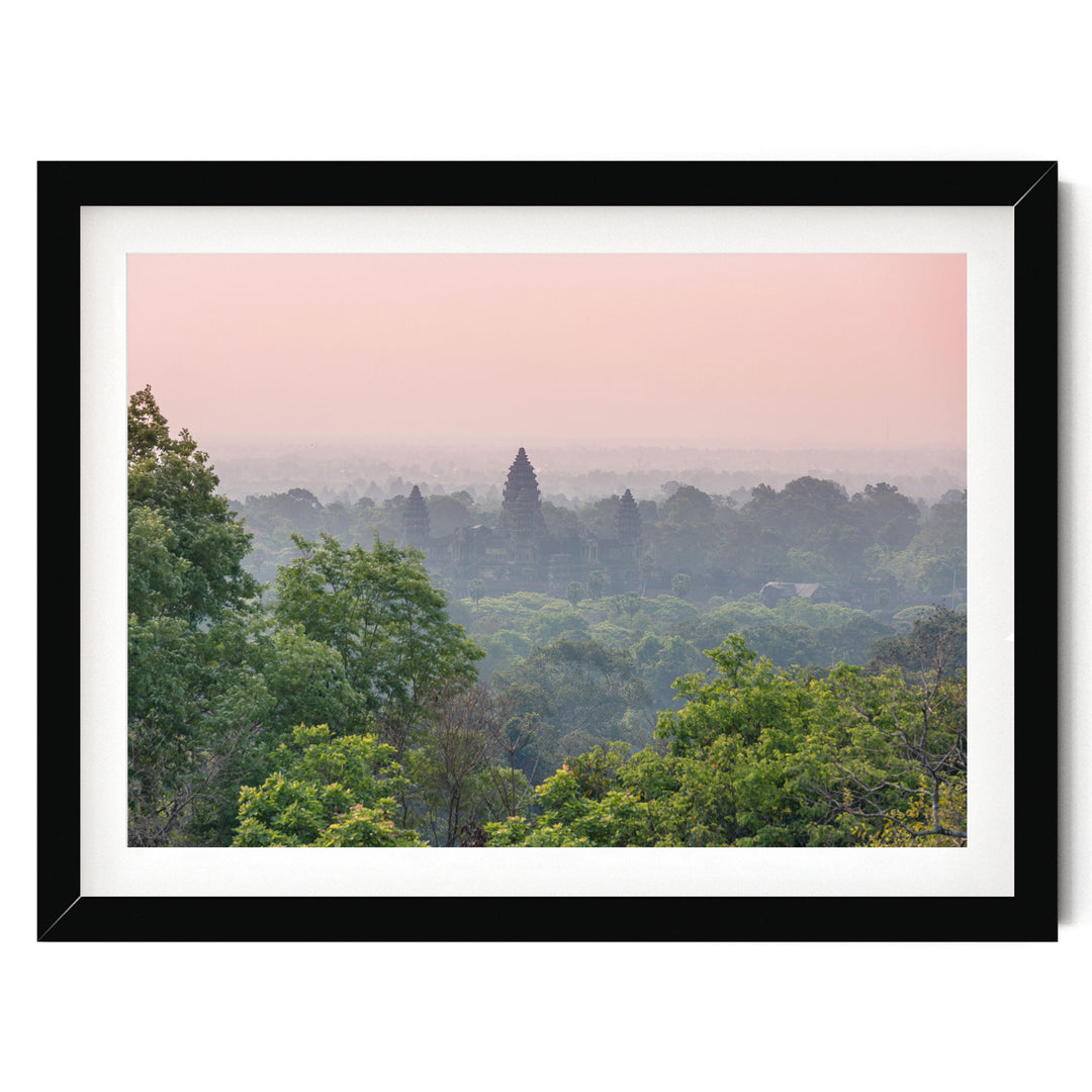 A framed photograph depicting a lush, green forest with a hazy, pink sky in the background.