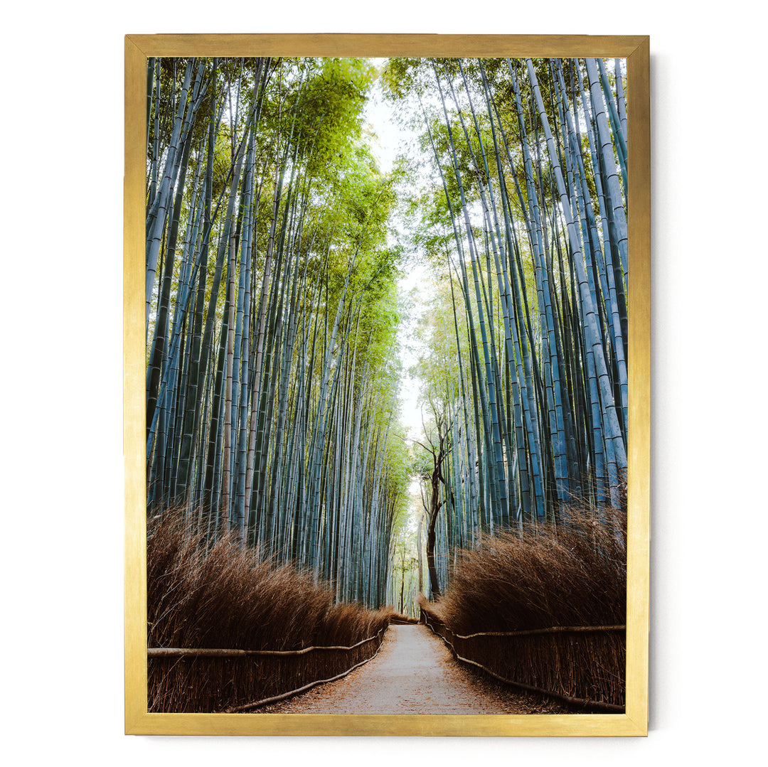 A serene bamboo forest path with tall, slender stalks stretching into the distance, creating a natural corridor.