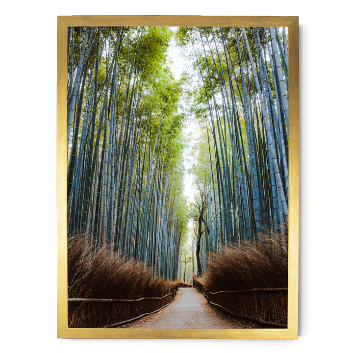 A serene bamboo forest path with tall, slender stalks stretching into the distance, creating a natural corridor.