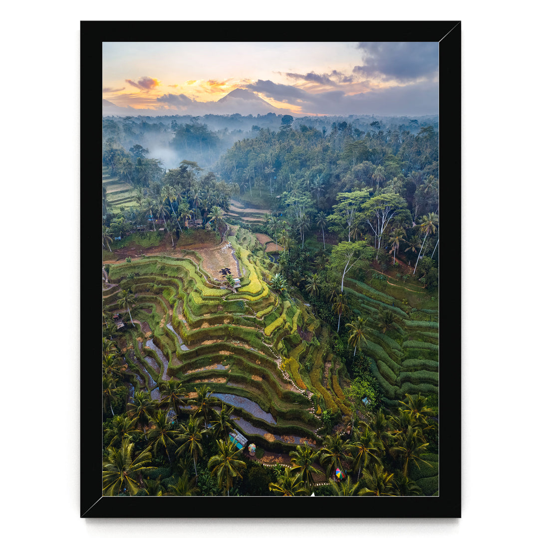 a lush, tropical landscape with terraced rice fields, palm trees, and a mountain range in the distance. The sky is filled with clouds, creating a dramatic backdrop for the scene. The overall composition is visually striking and showcases the beauty of the natural environment.
