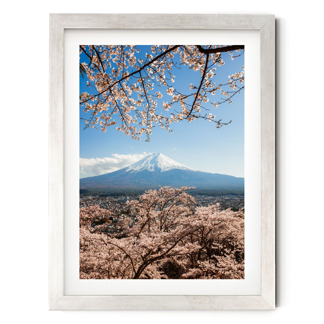 A framed photograph depicting a snow-capped mountain peak with cherry blossoms in the foreground, set against a clear blue sky.