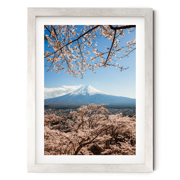A framed photograph depicting a snow-capped mountain peak with cherry blossoms in the foreground, set against a clear blue sky.