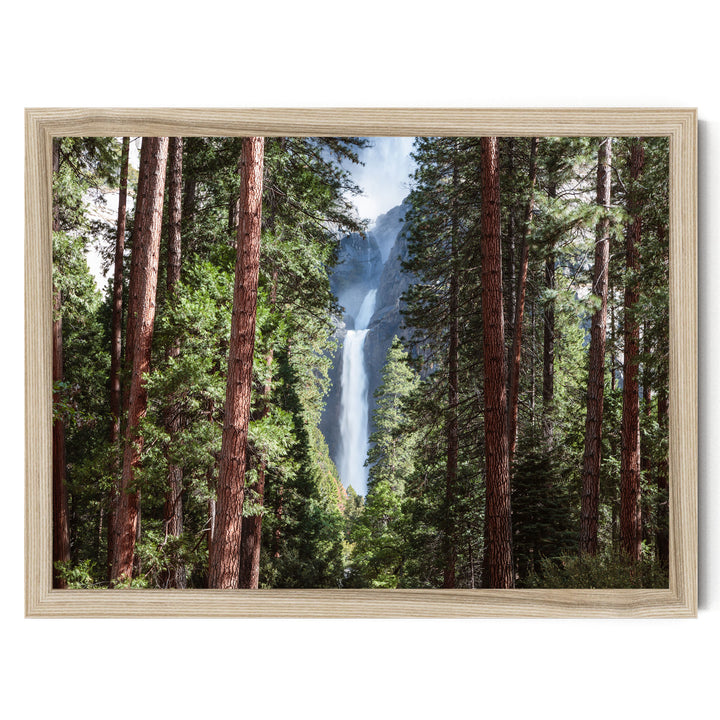a serene forest scene with tall trees framing a majestic waterfall cascading down the mountainside.