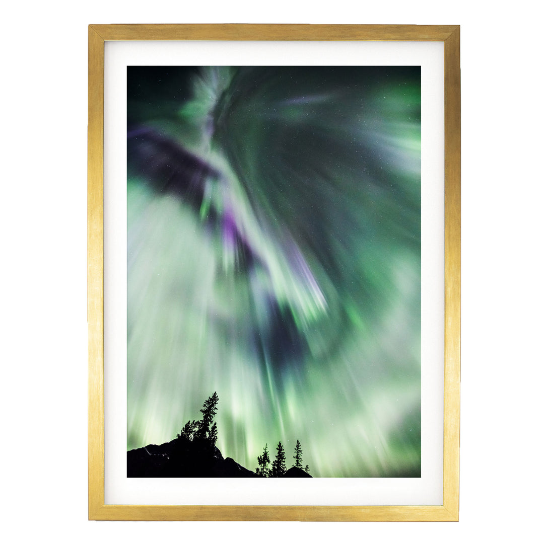 a stunning display of the Aurora Borealis, or Northern Lights, illuminating the night sky with vibrant green and purple hues. The silhouettes of trees can be seen in the background, adding a sense of depth and scale to the scene.