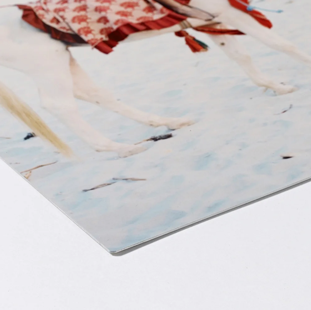 a close-up view of a white dog wearing a red and white patterned blanket, standing on a snowy surface.